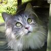 Guestjudy - @guestjudy - TikTok