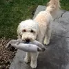 Judy Ham - @judy.ham7 - TikTok