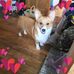 Judy Hammer - Facebook