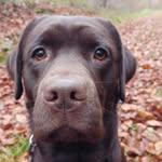 Judy Hammerschmied - @judyhammerschmied - Instagram