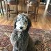 Judy Handley - Facebook