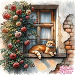 Judy Harrelson - @harrelson6032 - Instagram