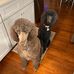 Judy Hatmaker - Facebook