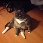Judy Hatt - @happy_jude47 - Instagram