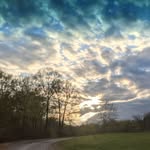 Judy Hattenhauer - @judyhatt63 - Instagram