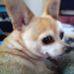 Judy Hatton - Facebook