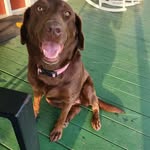 Judy McElhatten - @mcelhattenjudy - Instagram