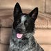 Judy Hamilton Helm - Facebook