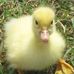 Judy Helm - Facebook
