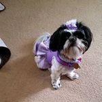 Judy Hirsch - @hirschjudy - Instagram