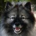 Judy Hirsch - Facebook