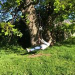 Judy Hirsch - @judy.j.hirsch - Instagram