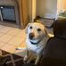 Judy Hix - Facebook