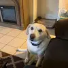 Judy Hix - @judy.hix - TikTok
