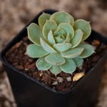 Judy Hoffmann - @creativehobbit3608 - Instagram