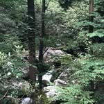 Judy Hoffmann - @hoffmannjudy - Instagram