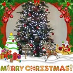 Judy Hook - Facebook