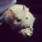 _Judy_Horner - @_judy_hornerz - Instagram