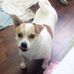Judy Horner - Facebook