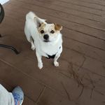 Judy Horner - @judyhorner7 - Instagram