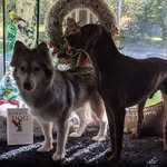 Judy Huerta - @judy.huerta.12 - Instagram