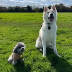 Judy Hui - @jhui128 - Instagram