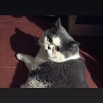 Judy Hui - @judy.hui725 - Instagram