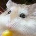 Judy Hui - Facebook