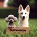 Judy Hui - Facebook