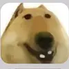 judy hui - @user2248762370884 - TikTok