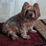 Judy Hulett Clarkson - @hulettjudy - Instagram