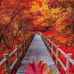 Judy Hultgren - Facebook