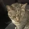 judy - @judyhumoudyspams - TikTok