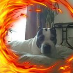 Judy Humble - @judymissotoolshumble - Instagram