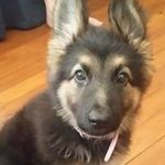 Judy Humble - @humble_judy - Instagram