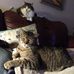 Judy Hummel - Facebook