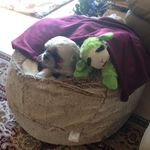 Judy Hummel - @hummel6681 - Instagram