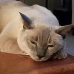 Judy Hummel - @hummel4220 - Instagram