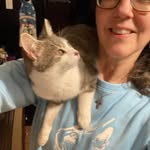 Judy Hummel Glass - @stonecastersfolly - Instagram
