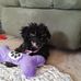 Judy Huneycutt - Facebook