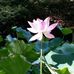 Judy Hung - Facebook
