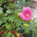 Judy Hung - Facebook