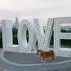 Judy Hung - @judy.hung0 - TikTok