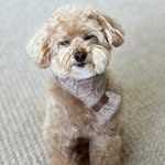 Judy Hung - @judes0026 - Instagram