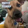 judyhustedtdouglas - @judyhustedtdouglas - TikTok