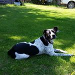 Judy Hutton - @judy.hutton.50 - Instagram