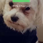 Judy Hutton - @hutton.judy1 - Instagram