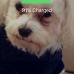 Judy Hutton - @hutton.judy - Instagram