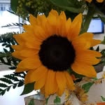 Judy Hutton - @chugach.10 - Instagram