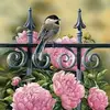 judyvanhutton - @judyvanhutton - TikTok